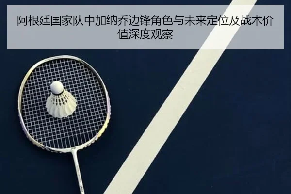 阿根廷国家队中加纳乔边锋角色与未来定位及战术价值深度观察