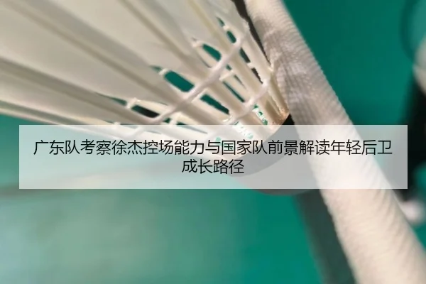 广东队考察徐杰控场能力与国家队前景解读年轻后卫成长路径